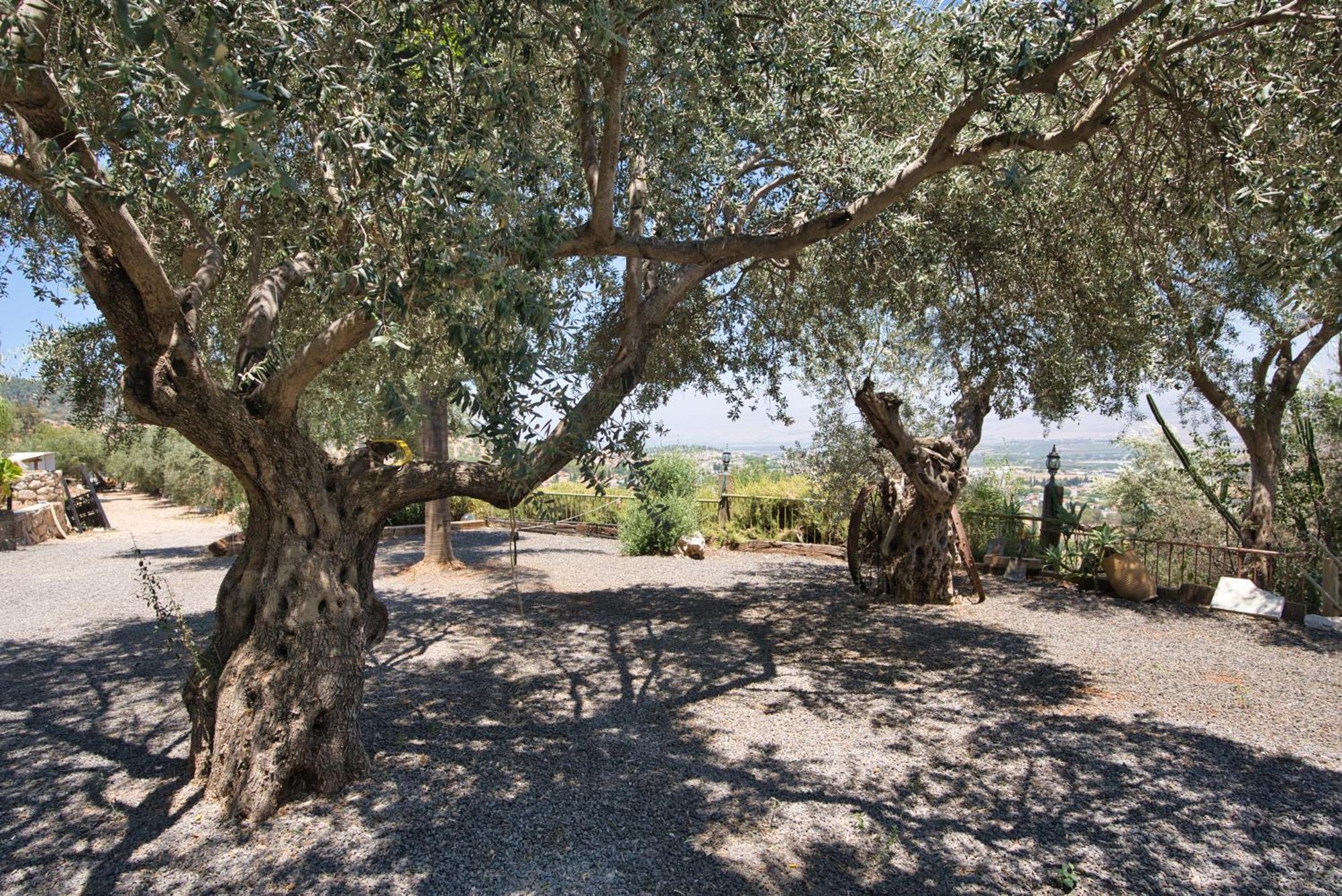 Hameiri Estate Rosh Pinna Esterno foto